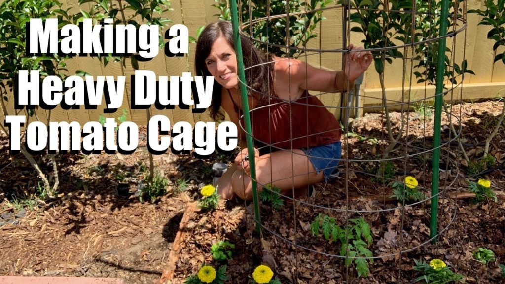 How to Make a DIY Heavy Duty Tomato Cage & Planting a Tomato for Tomato Grow Off
