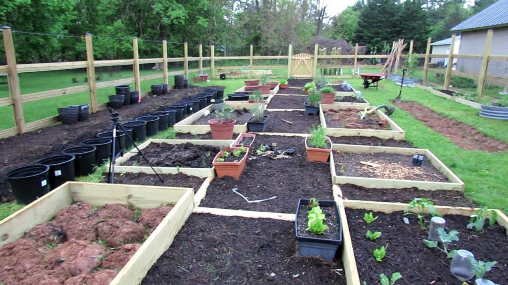 Tour 7 2019: TRG Homestead -  Mulching, 4 Garden Bed Options, Progress & I Want Them Filled!