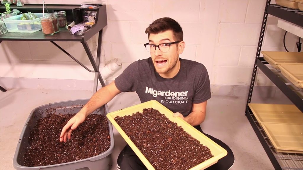 How to Start Microgreen Seeds