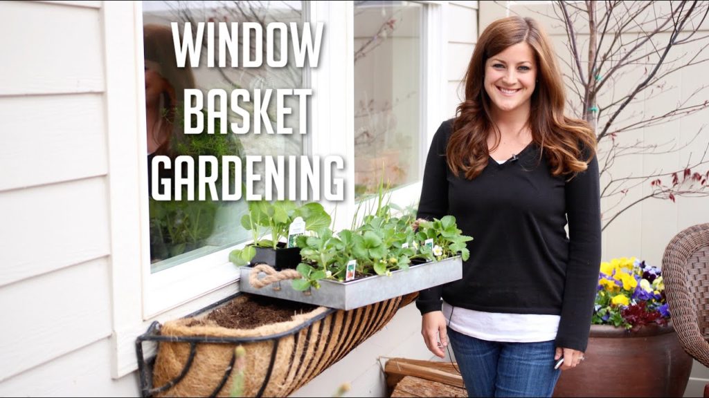 Window Basket Gardening