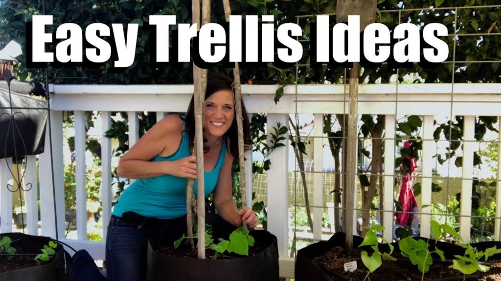 Easy, Inexpensive, DIY, Trellis Ideas, Growing Vertically // Small Space Garden Series #3