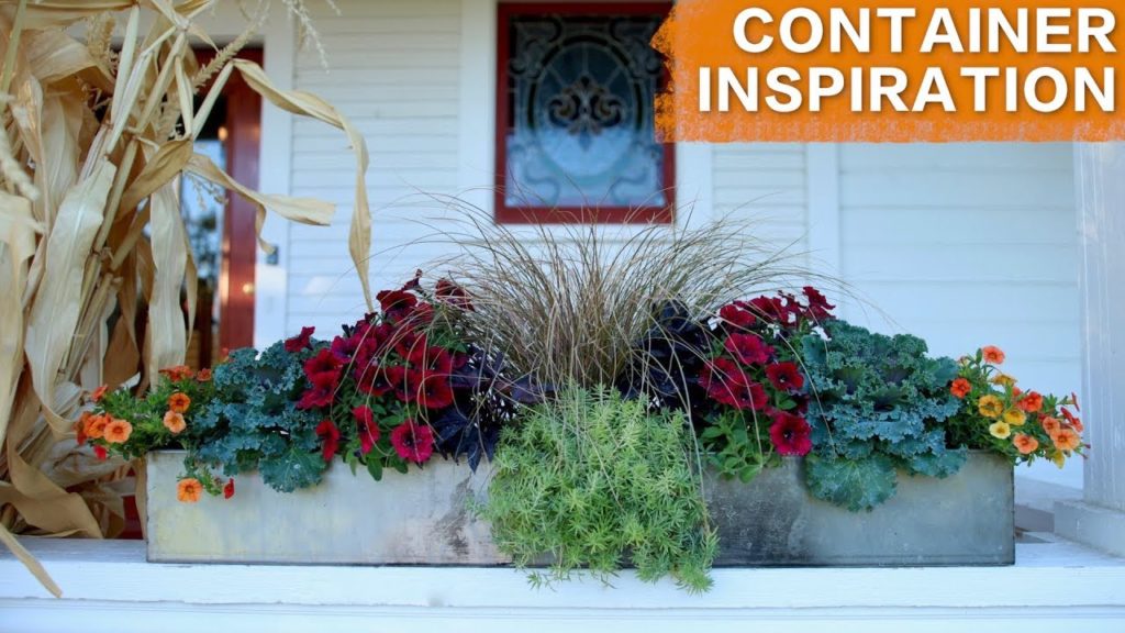 Planting in a Long Container // Garden Answer