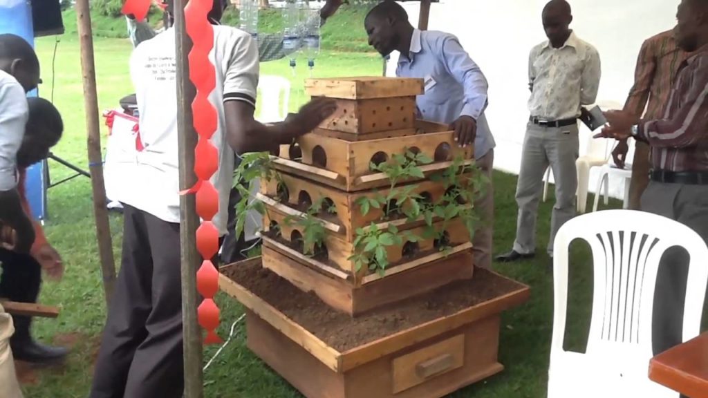 Vertical and Micro Gardening mp4