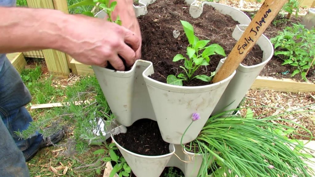 Growing 18 Peppers Vertically: Container Soil Refresh & Planting My 5 Tier Vegetable Tower