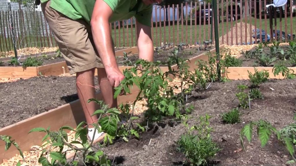 The Two Tools I Can't Enter the Garden Without