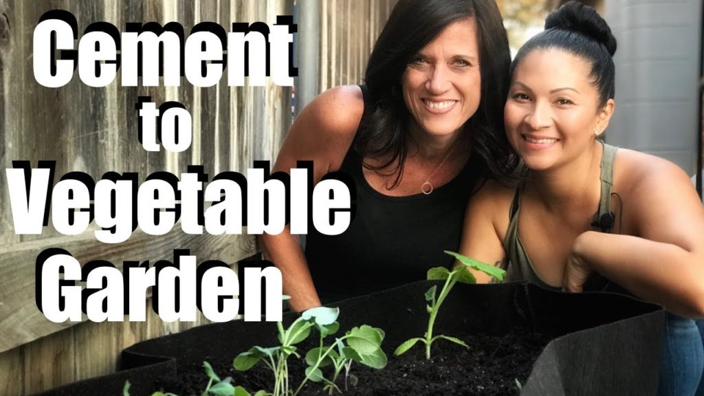Transforming Angelica’s Cement Space into a Vegetable Garden // CaliKim on the Road #3