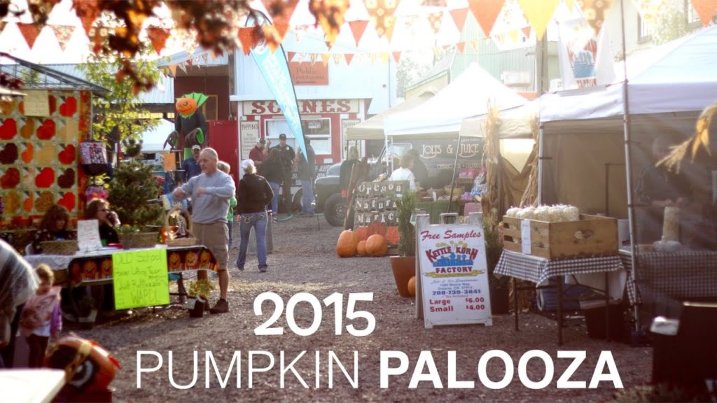 Pumpkin Palooza 2015