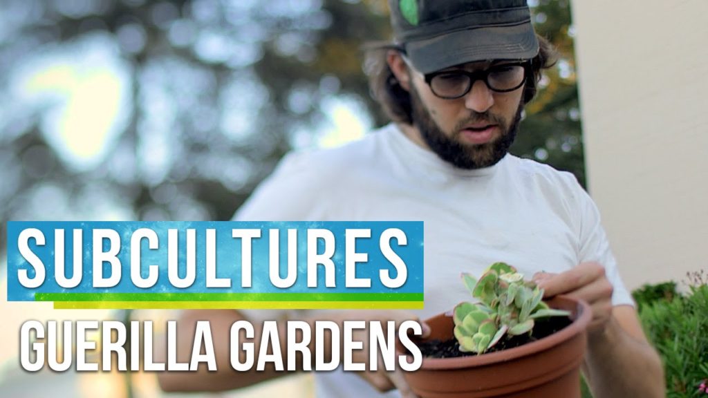 Guerrilla Gardening in Los Angeles | SubCultures