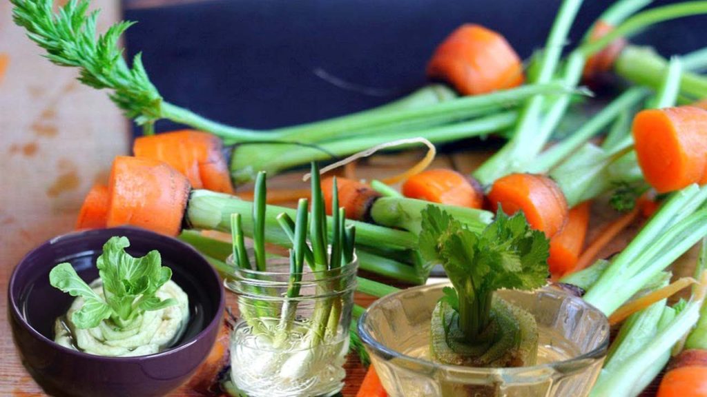 11 vegetables and herbs You Can Buy Once and Regrow Forever - Gardening Tips