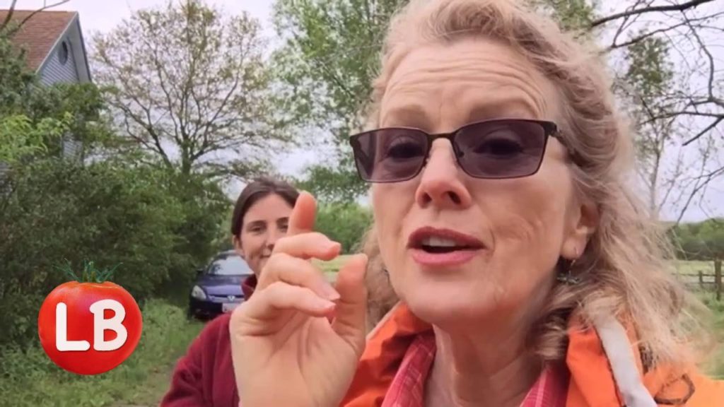 To Parts East | Road Trip - Day 3 Afternoon in Delaware | Kaye's Vlog