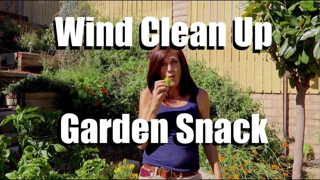 Wind Clean Up, Snackin' in the Garden // A Day in the Life of CaliKim #2