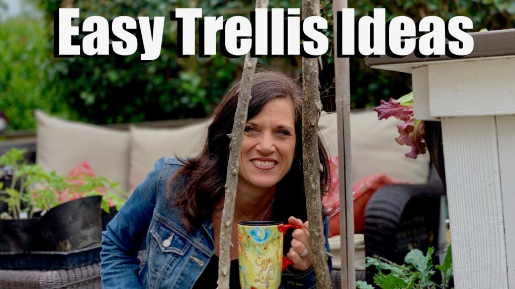 Easy, Inexpensive Trellis Ideas