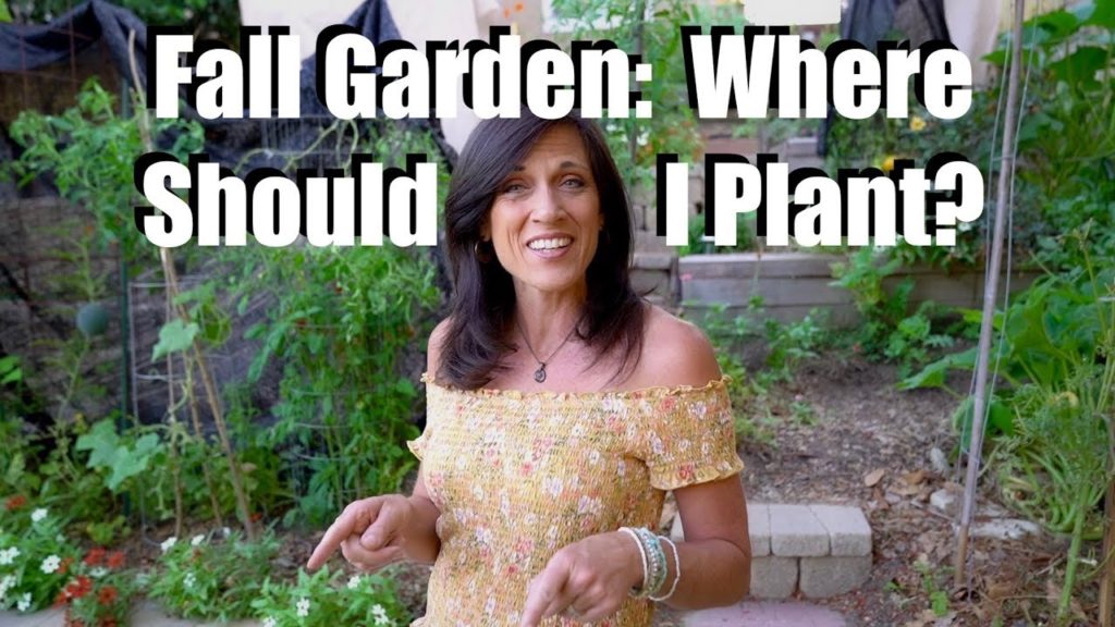 Fall Vegetable Garden: Help me Choose Where to Plant / Fall Garden Series #2
