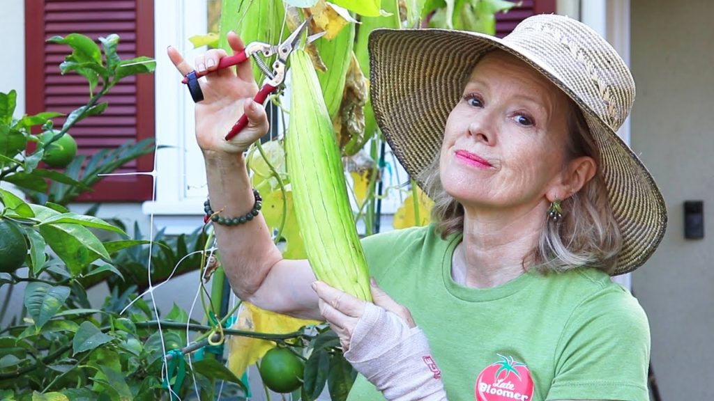 LOOFA COMES OUT and Flowers GO IN | Garden Transformation Part 9