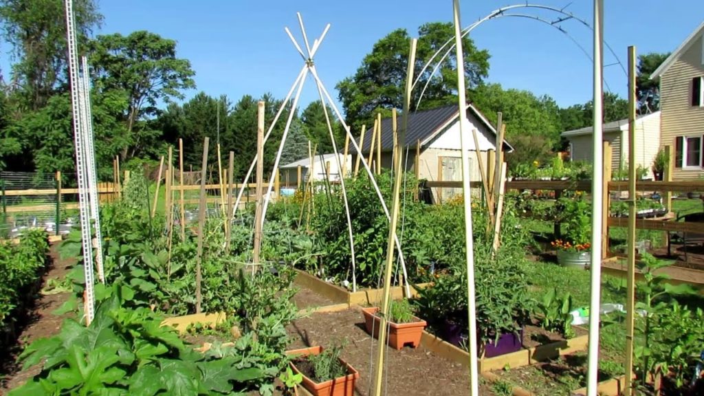Tour 11 2019: TRG Homestead - 2 New Trellis Arch Designs, First Large Harvest From My Garden & Tips
