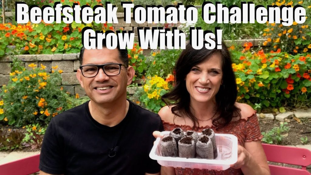 2019 Beefsteak Tomato Challenge -  Grow With Us & Starting Seeds!