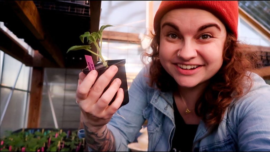 I Really Hope They Germinate (And a Mail Call) | VLOG | Roots and Refuge Farm