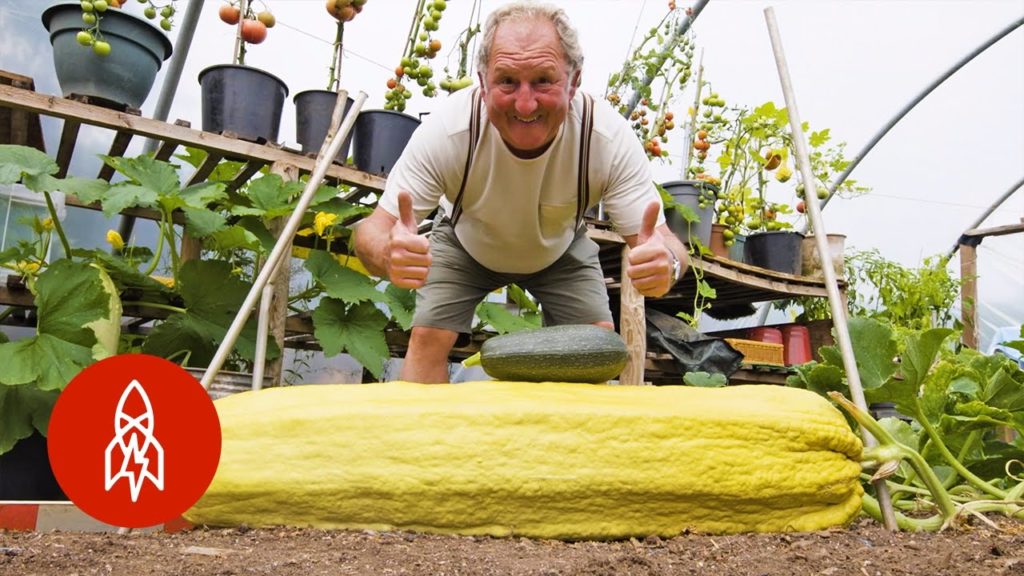 This Gardener Regularly Grows 100-Pound Vegetables This Gardener Regularly Grows 100-Pound Vegetables