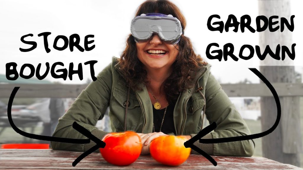 Can gardeners be fooled? Tomato Taste Test with Roots and Refuge Can gardeners be fooled? Tomato Taste Test with Roots and Refuge