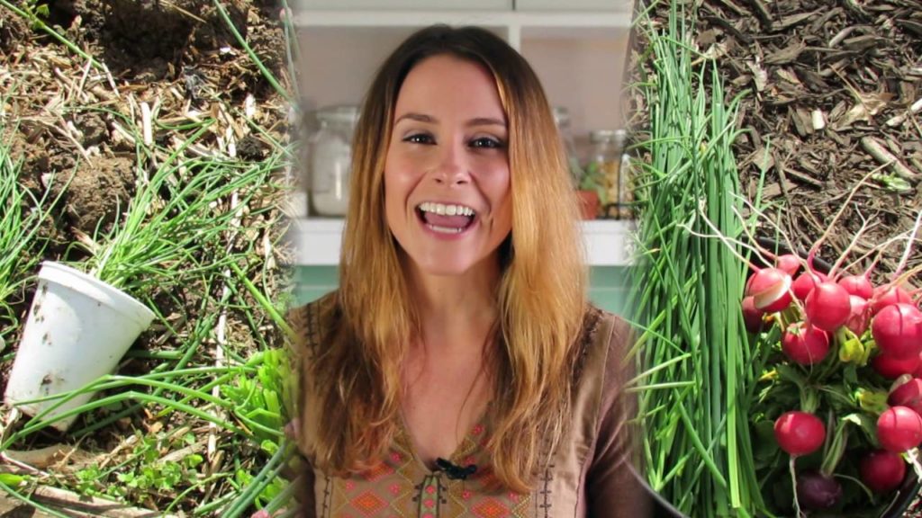 Gary Pilarchik: Radishes & Chives (Planting/Recipes): Grow It, Cook It, Eat It – A Garden & Cooking Series E-1 Radishes & Chives (Planting/Recipes): Grow It, Cook It, Eat It - A Garden & Cooking Series E-1