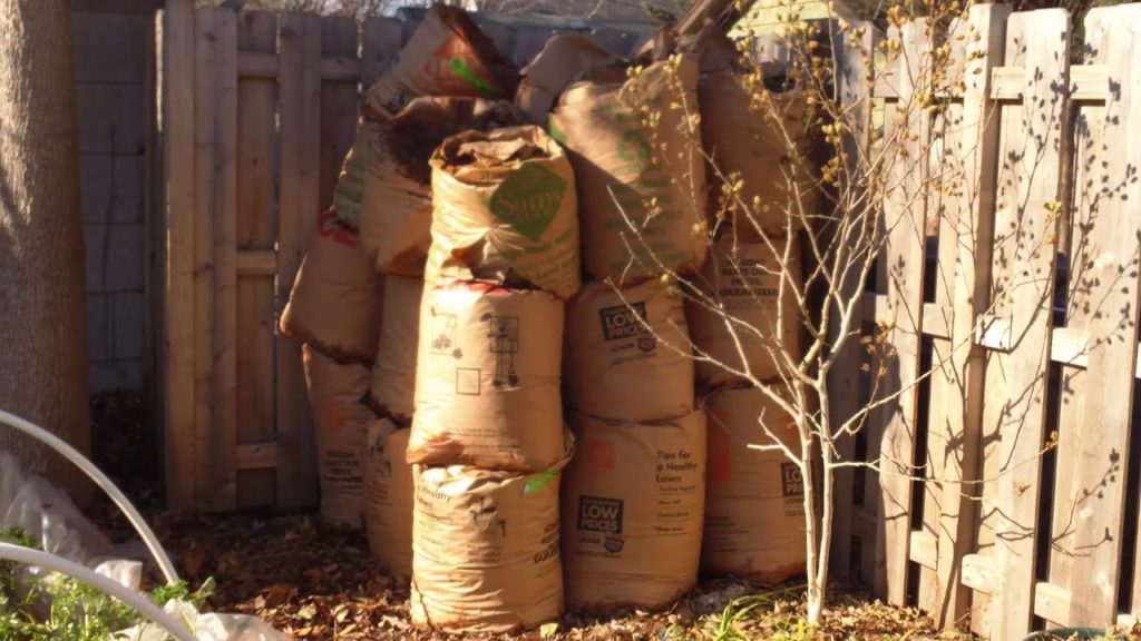 Our Leaf Haul so Far: Leaf Mold, Leaf Compost, Leaf Mulch