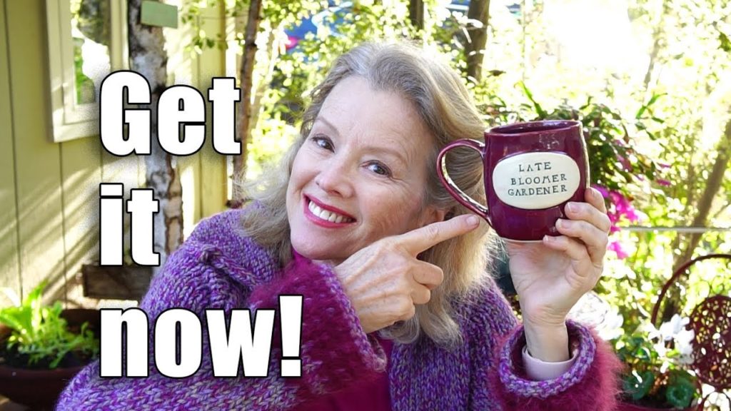 Kaye Kittrell: New Year Garden Update | Mug, Flowers, Kids! | Los Angeles New Year Garden Update | Mug, Flowers, Kids! | Los Angeles