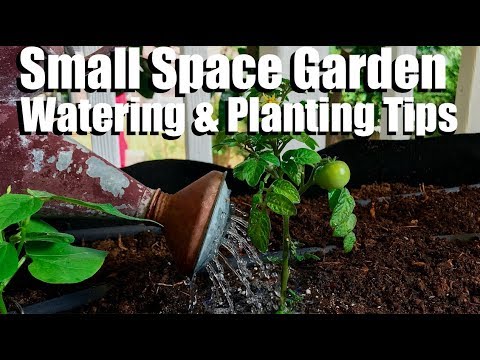 CaliKim: Container Watering Options & Tips for Planting Compact Veggies//Small Space Garden Series #2 Container Watering Options & Tips for Planting Compact Veggies//Small Space Garden Series #2