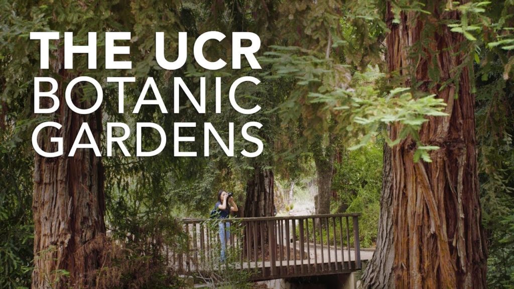 The UCR Botanic Gardens, a Living Museum The UCR Botanic Gardens, a Living Museum