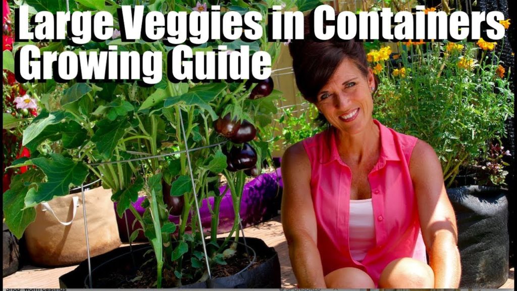 CaliKim: Growing Large Veggies/Fruit in Containers/Complete Guide with Digital Table of Contents Growing Large Veggies/Fruit in Containers/Complete Guide with Digital Table of Contents