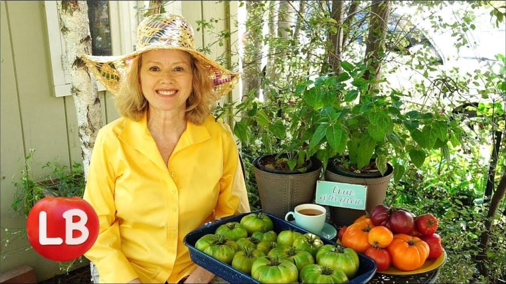 Compare! Garden Before, After Trip | Tomato Harvest | Vlog