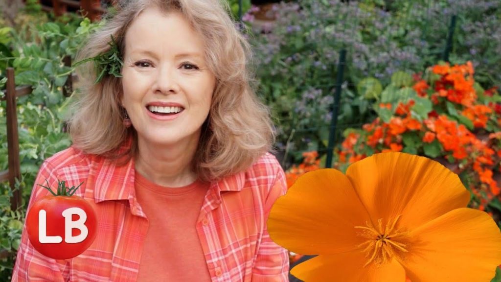 Kaye Kittrell: Earth Day Flowers | Late Bloomer | Episode 4 Earth Day Flowers | Late Bloomer | Episode 4