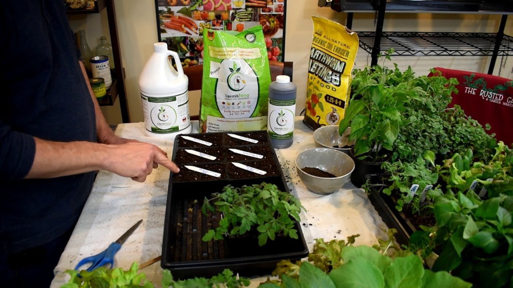 Gary Pilarchik: How to Use Worm Castings for Your Tomato & Vegetable Seed Starts: Starting Tomatoes NO Grow-Lights! How to Use Worm Castings for Your Tomato & Vegetable Seed Starts: Starting Tomatoes NO Grow-Lights!