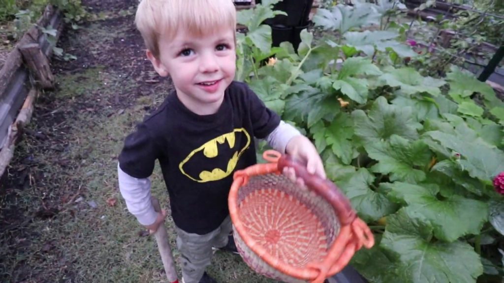 Roots and Refuge Farm: Grow Baby Grow! | VLOG | Roots and Refuge Farm Grow Baby Grow! | VLOG | Roots and Refuge Farm