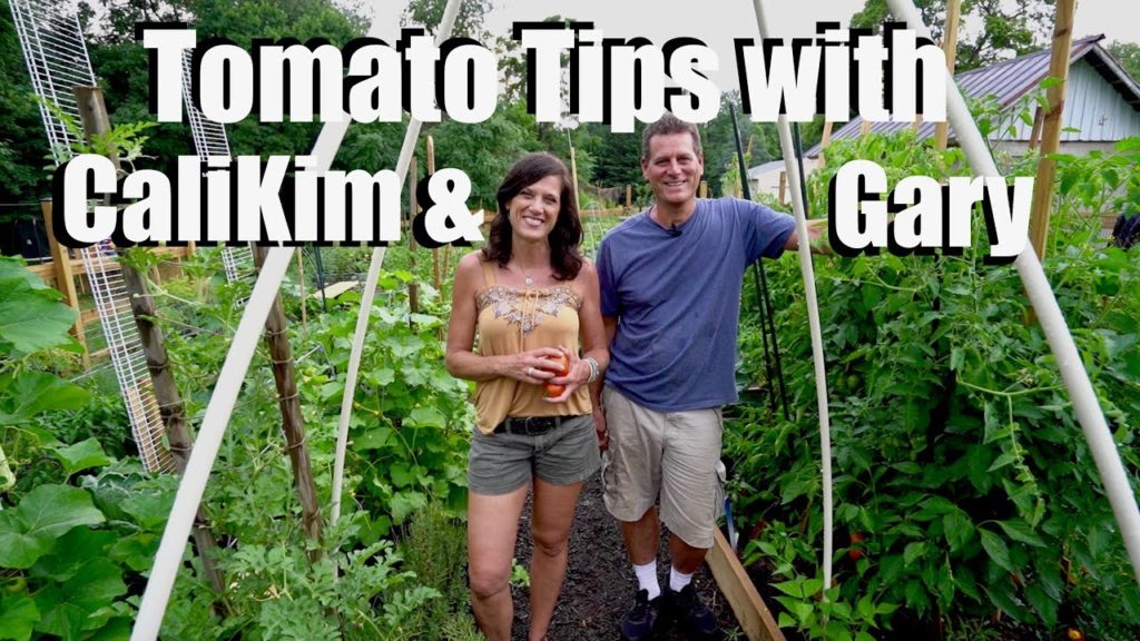 Tomato Tips & Tricks with CaliKim and Gary- Managing Disease, Productivity, Favorite Varieties