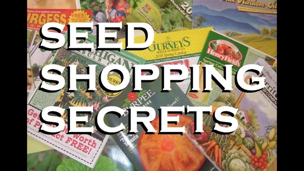MIgardener: Shopping Secrets Seed Companies Don't Want You To Know – Save Up To 75% Shopping Secrets Seed Companies Don't Want You To Know - Save Up To 75%
