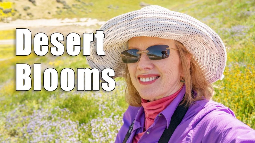 Kaye Kittrell: California Desert Super Bloom | Carrizo Plain, Poppies | Episode 20 California Desert Super Bloom | Carrizo Plain, Poppies | Episode 20