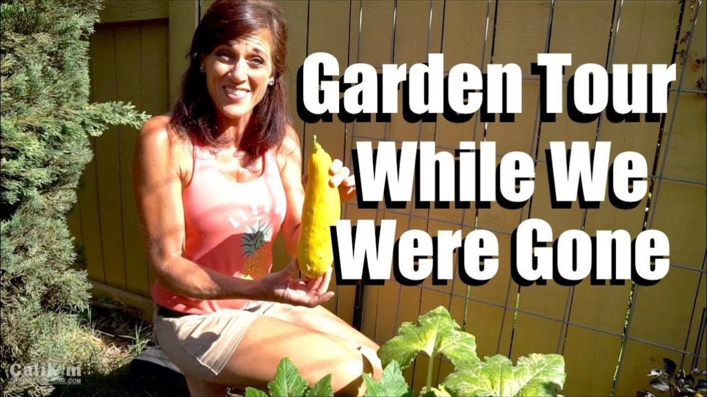 Garden Tour //  While We Were Gone for 10 Days During Triple Digit Heat Wave