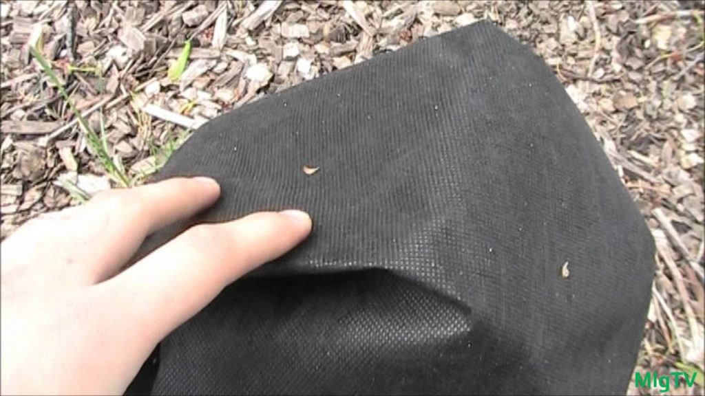 MIgardener: Protecting Fruit Trees From a Freak Freeze Protecting Fruit Trees From a Freak Freeze