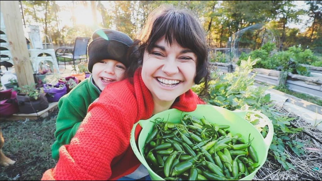 Roots and Refuge Farm: The Final Garden HARVEST | VLOG | Roots and Refuge Farm The Final Garden HARVEST | VLOG | Roots and Refuge Farm