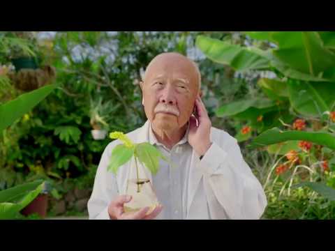 The Sound Gardener The Sound Gardener