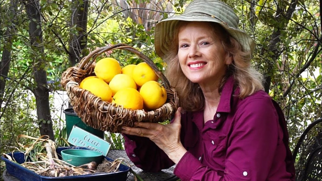 Kaye Kittrell: Monarch, Wildlife, Surprises | Garden Workday | Vlog Monarch, Wildlife, Surprises | Garden Workday | Vlog