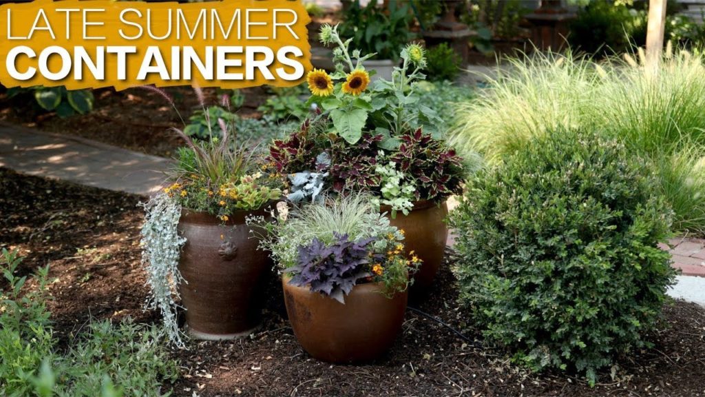 Garden Answer: Late Summer Containers 🌿 // Garden Answer Late Summer Containers 🌿 // Garden Answer