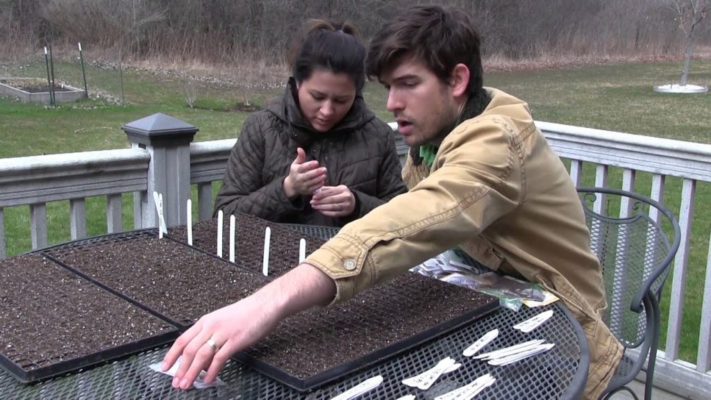 Starting over 2000 Seeds Pt. 1