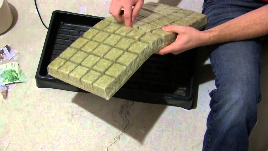 MIgardener: How To Start Seeds For Hydroponics For Beginners EZ How To Start Seeds For Hydroponics For Beginners EZ