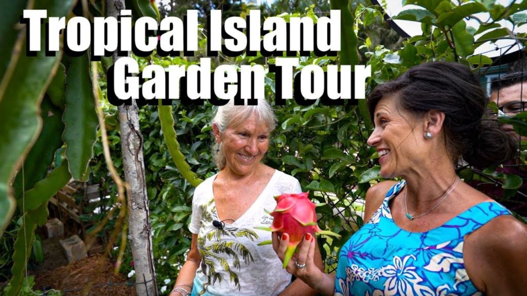 CaliKim: Tropical Island Garden Tour (Lānaʻi, Hawaii) / Is Gardening in Paradise REALLY Paradise? 🏝 Tropical Island Garden Tour (Lānaʻi, Hawaii) / Is Gardening in Paradise REALLY Paradise? 🏝