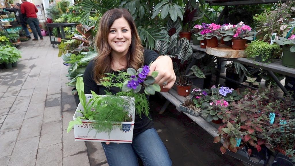 Garden Center Projects // Garden Answer