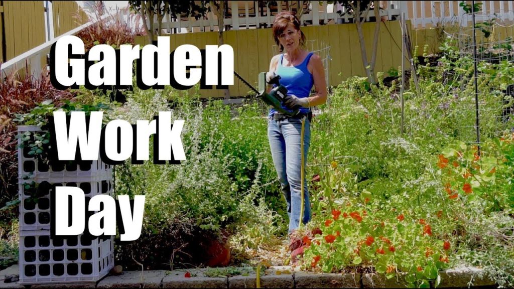 CaliKim: Garden Work Day Garden Work Day