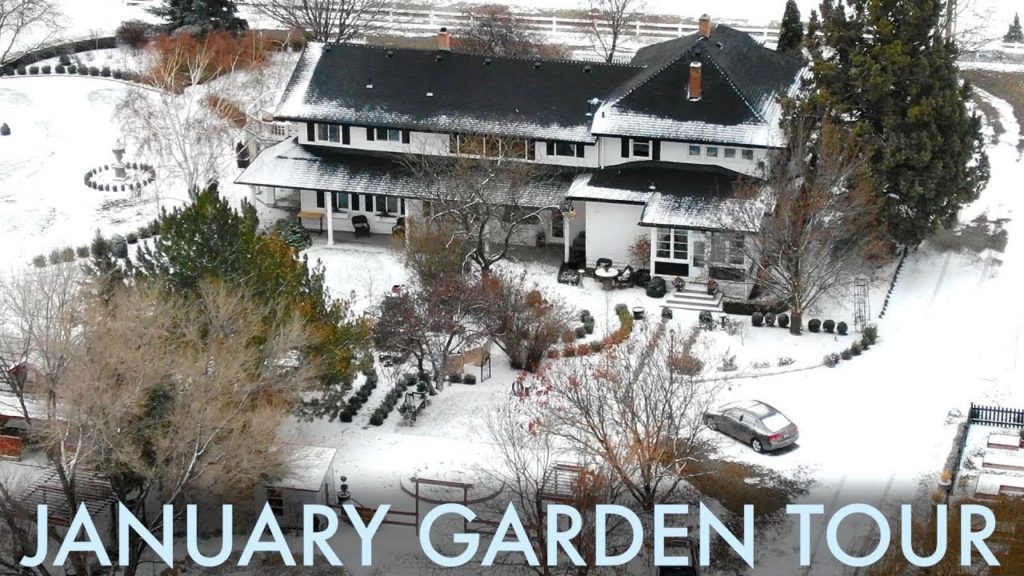 Garden Answer: January Garden Tour ❄️ // Garden Answer January Garden Tour ❄️ // Garden Answer