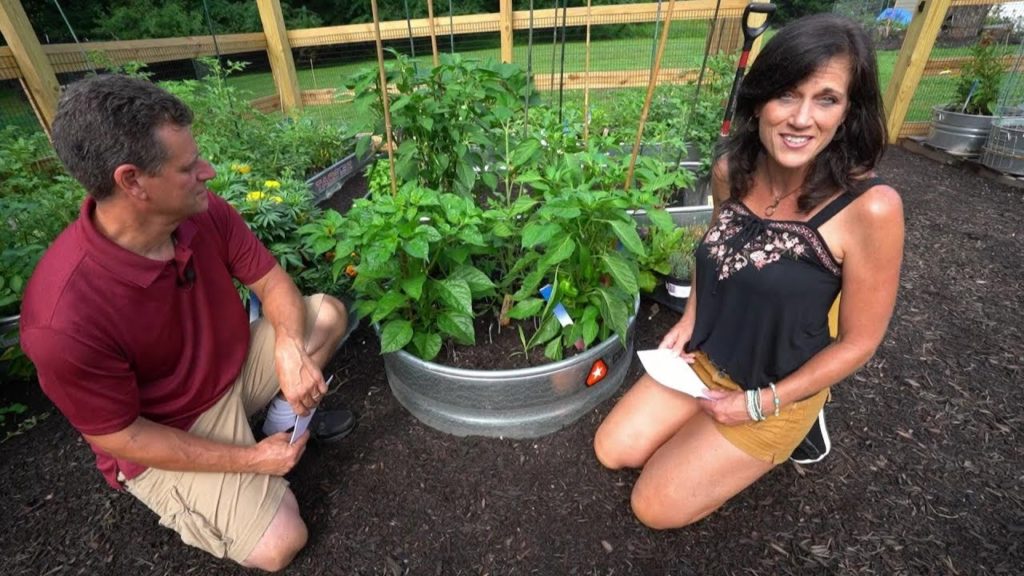 Ten Viewer Questions on Tomatillos, Tomatoes & Peppers: Answered by Gary & CaliKim (Blooper Reel)