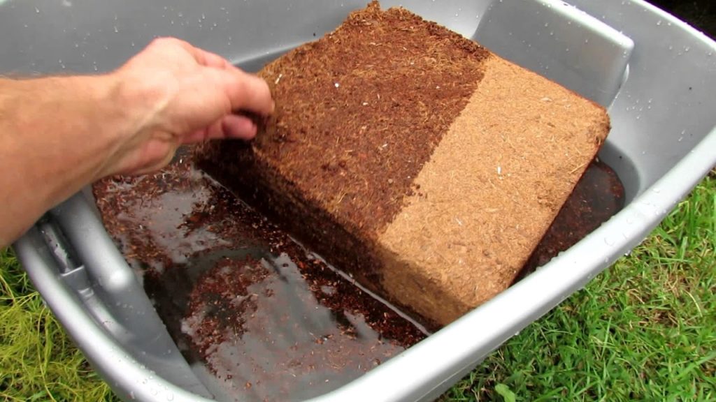 Filling Raised Beds with Peat Moss, Coco Coir & Leaf Gro: How to Use Coco Coir